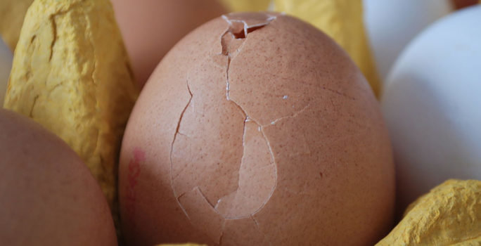 Ett kläckt ägg som ska representera ägglossning.